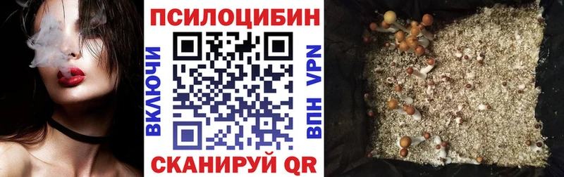Псилоцибиновые грибы прущие грибы  Козельск 